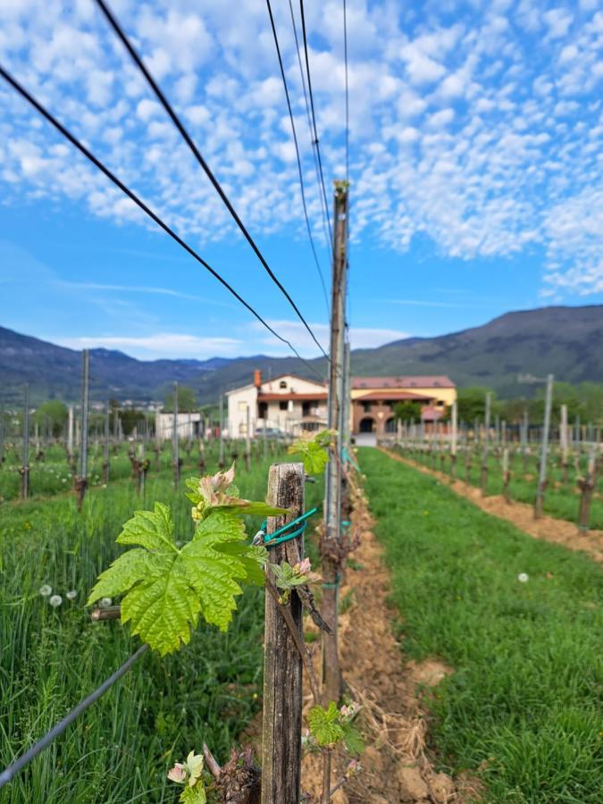 Posestvo Rouna - Winery And Apartments فيبافا المظهر الخارجي الصورة