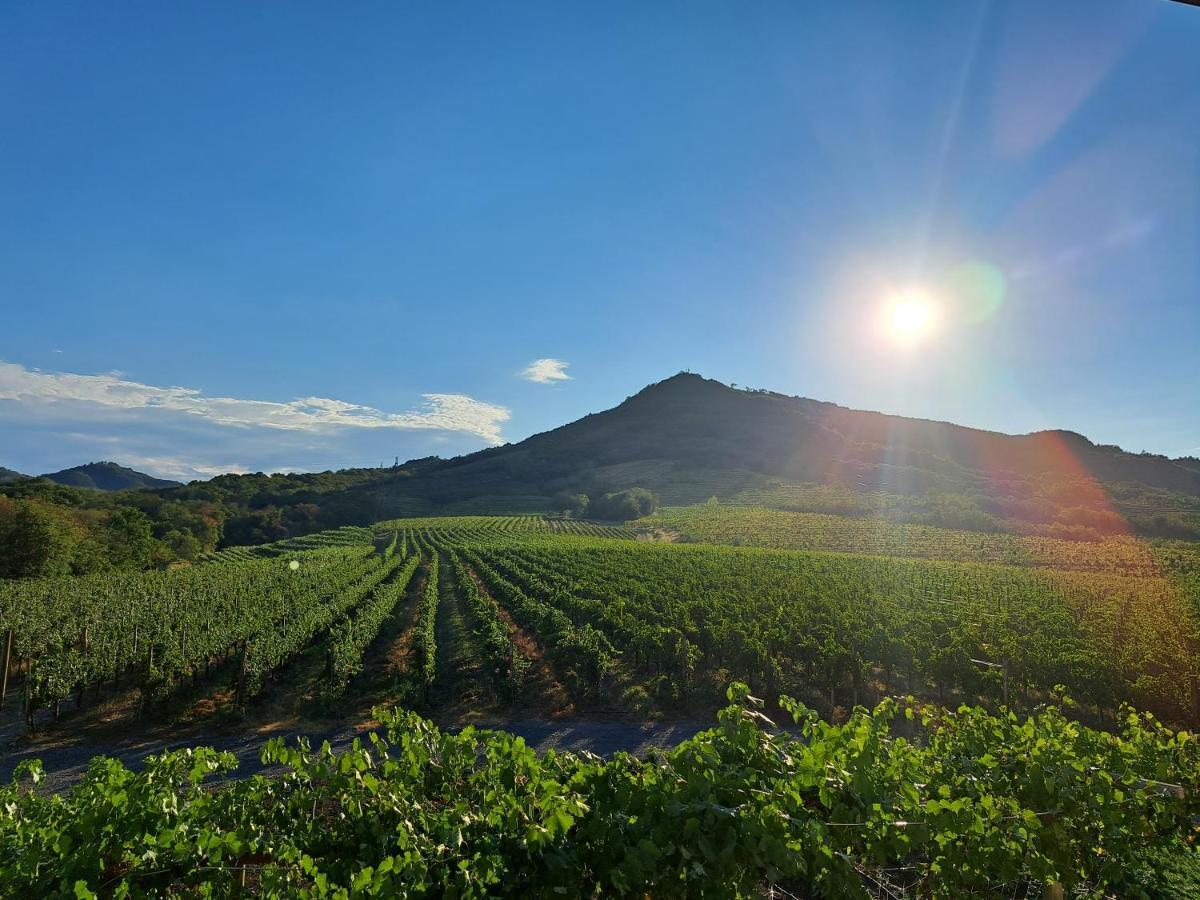 Posestvo Rouna - Winery And Apartments فيبافا المظهر الخارجي الصورة